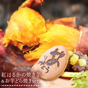 _ŋzI^  ǂĂ3ƏĂ͂邩3{̂Zbg lCXC[clߍ킹 Ă g͂邩 ǂĂ Y ׂɂ͂邩 xj͂邩 Â XC[c Zbg o