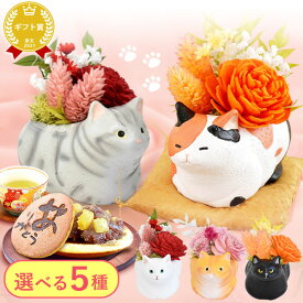 ＼最強翌日配送！／ 誕生日プレゼント お礼 挨拶 産休 お祝い 花 ギフト アレンジメント フラワー プリザーブドフラワー 枯れない花 動物 猫 猫好き 猫グッズ 置物 おしゃれ かわいい 送料無料 プレゼント スイーツ お菓子 和菓子 洋菓子 猫グッズ 父の日 oimoya