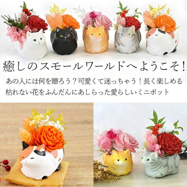楽天市場】＼早割！／ 母の日 早割 プレゼント 花 ギフト プリザーブド 
