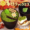 ＼最強翌日配送！／ TVで紹介されました 芋ほりティラミス プチギフト お菓子 ティラミス お取り寄せ おしゃれ かわい…