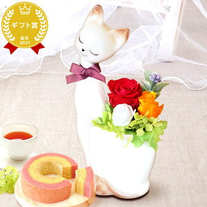 _ŋzI^ av[g  A Yx j  Mtg AWg t[ vU[uht[ KXh[ ͂Ȃ 킢   v[g 