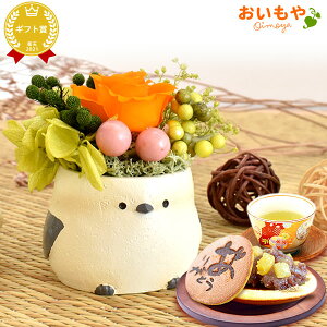 �_�ŋ������z���I�^ �a�����v���[���g �M�t�g �� �M�t�g �A�����W�����g �v���U�[�u�h�t�����[ �͂�Ȃ��� ���� �u�� �ӂ��낤 �� ���킢�� ������� �ǂ�Ă� �������� �X�C�[�c ���َq �a