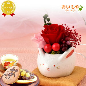 _ŋzI^ av[g  A Yx j  Mtg AWg t[ vU[uht[ ͂Ȃ  ӂ낤 u 킢   v[