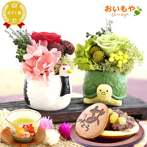 _ŋzI^ av[g  A Yx j  Mtg AWg t[ vU[uht[ ͂Ȃ u   ӂ낤 yAZbg 킢  v