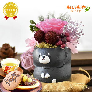 _ŋzI^ av[g  A Yx j  Mtg t[ AWg vU[uht[ ͂Ȃ  u CeA   킢  v