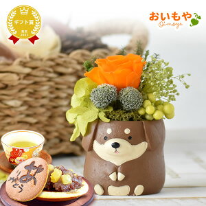 _ŋzI^ av[g  A Yx j  Mtg t[ AWg vU[uht[ ͂Ȃ  u CeA   킢  v