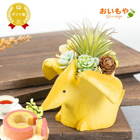 ＼最強翌日配送！／ 誕生日プレゼント お礼 挨拶 産休 お祝い 花 ギフト アレンジメント フラワー プリザーブドフラワー 枯れない花 恐竜 グッズ 動物 ティラノサウルス 置物 かわいい おしゃれ 送料無料 プレゼント スイーツ お菓子 洋菓子 ホワイトデー oimoya