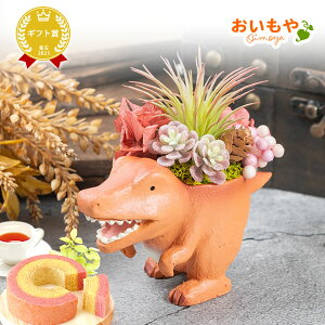 _ŋzI^ av[g  A j  Mtg AWg t[ vU[uht[ ͂Ȃ  ObY  eBmTEX u 킢  