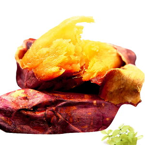 _Вo[Xf[LOI^  Вa ̏Ă  Ă dqW  W  Ⓚ Ă Ă ₫ g͂邩 ͂邩 VNXC[g [ 6{