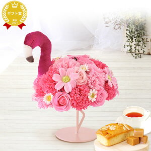 _ŋzI^ a v[g  Mtg V{t[ \[vt[ t[\[v ͂Ȃ  t[AWg ԑ CeA G V}GiK ʂ 