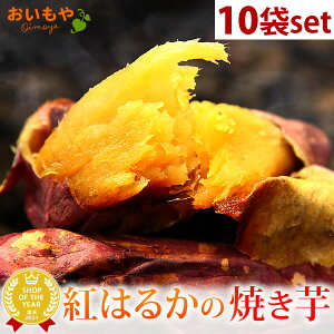 _ŋzI^ ݁IlCĂ10܃Zbg Ă g͂邩̏Ă  TVŘb lC܂ Y {i₫ Ă ׂɂ͂邩 g͂邩 Â ܂Ƃߔ XC[c 