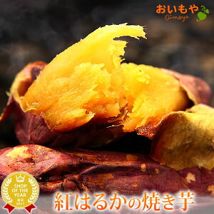 g͂邩̏Ă Ă  1 lC܂ Y {i₫ Ă ׂɂ͂邩 g͂邩 xj͂邩  p Â XC[c ₵Ă ACX Ⓚ  Ђ