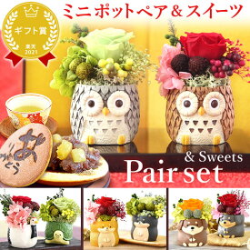 ＼最強翌日配送！／ 誕生日プレゼント お礼 挨拶 産休 お祝い 花 ギフト アレンジメント フラワー プリザーブドフラワー 置物 動物 犬 ふくろう ペアセット おしゃれ かわいい 送料無料 プレゼント スイーツ お菓子 和菓子 洋菓子 お歳暮 お年賀 クリスマス おいもや