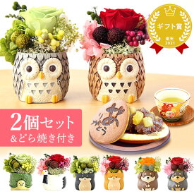 ＼最強翌日配送！／ 誕生日プレゼント お礼 挨拶 産休 お祝い 花 ギフト アレンジメント フラワー プリザーブドフラワー 枯れない花 置物 動物 犬 ふくろう ペアセット かわいい 送料無料 プレゼント スイーツ お菓子 和菓子 洋菓子 お歳暮 お年賀 クリスマス oimoya