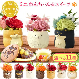 ＼最強翌日配送！／ 誕生日プレゼント お礼 挨拶 産休 お祝い 花 ギフト フラワー アレンジメント プリザーブドフラワー 枯れない花 動物 置物 インテリア 犬 おしゃれ かわいい 送料無料 プレゼント スイーツ お菓子 和菓子 どら焼き わんこ 犬好き 母の日 父の日 おいもや