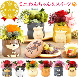 ＼最強翌日配送！／ 誕生日プレゼント お礼 挨拶 産休 お祝い 花 ギフト フラワー アレンジメント プリザーブドフラワー 枯れない花 動物 置物 インテリア 犬 おしゃれ かわいい 送料無料 プレゼント スイーツ お菓子 和菓子 どら焼き お歳暮 お年賀 クリスマス oimoya