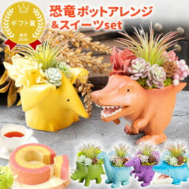 ＼最強翌日配送！／ 誕生日プレゼント お礼 挨拶 産休 お祝い 花 ギフト アレンジメント フラワー プリザーブドフラワー 枯れない花 恐竜 グッズ 動物 ティラノサウルス 置物 かわいい おしゃれ 送料無料 プレゼント スイーツ お菓子 洋菓子 お歳暮 お年賀 クリスマス oimoya