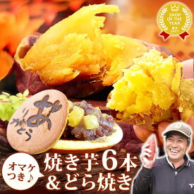 ＼社長バースデー記念！／ 送料無料 おいもや社長誕生日♪ 夢の焼き芋 福袋 焼き芋 電子レンジ 袋 レンジ 個包装 冷凍 焼いも 焼きいも やきいも 紅はるか はるか シルクスイート 安納芋 6本 人気の焼き芋 国産 詰め合わせ セット どら焼き オマケ付き おいもや
