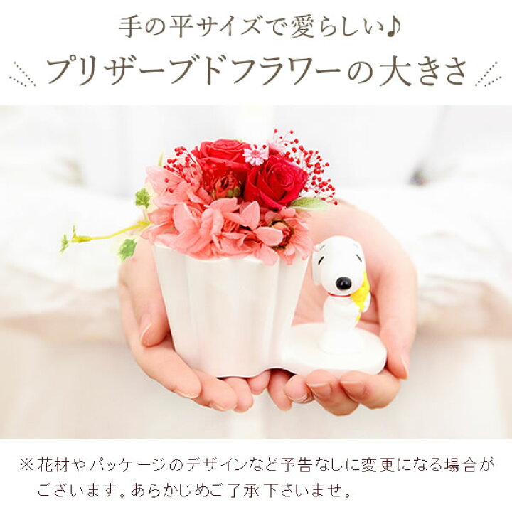 お中元 プリザーブドフラワー スヌーピー 誕生日プレゼント スヌーピー マスコット入り 花 プリザーブドフラワー入り 壁掛け カラフルフラワー