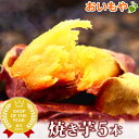 送料込み！人気 おいもや 紅はるかの焼き芋 国産焼きいも やきいもお試し 5本セット【AB】