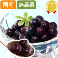 冷凍ブルーベリー 国産 無農薬 600g 1.2kg 2.4kg ブルーベリー 冷凍 冷凍フルーツ フルーツ 果物 くだも…