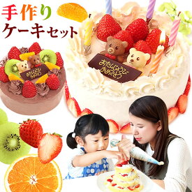 バースデーケーキ 手作りケーキ 5号 子供とママで手作り デコレーションケーキ 誕生日ケーキ ケーキキット 子供 ギフト プレゼント oimoya