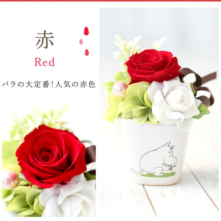 1109円 1周年記念イベントが 誕生日プレゼント プレゼント お菓子 お祝い 花 ギフト 1109円 1周年記念イベントが 誕生日プレゼント プレゼント お菓子 お祝い 花 ギフト