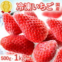 【今夜23:59まで★ポイント5倍】 冷凍いちご 500g 1kg 500グラム 1キロ 国産 冷凍フルーツ 苺 イチゴ 静岡産 紅ほっぺ…
