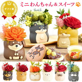 ＼最強翌日配送！／ 誕生日プレゼント 挨拶 お礼 産休 お祝い 花 ギフト フラワー アレンジメント 枯れない花 プリザーブドフラワー 動物 置物 インテリア 犬 おしゃれ かわいい 送料無料 プレゼント お菓子 和菓子 スイーツ どら焼き わんこ 犬好き oimoya