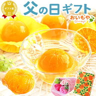 ＼本日23:59まで！エントリー4倍／ 父の日 まだ間に合う プレゼント ギフト 2026 みかんゼリー みかん ゼ…