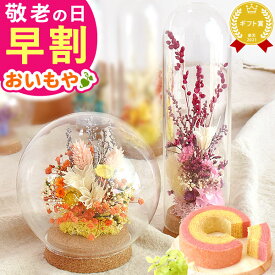 ＼早割7日まで！今ならP3倍／ 敬老の日 ギフト プレゼント 早割 人気 スイーツ お菓子 洋菓子 花 アレンジメント フラワー ドライフラワー インテリア ガラスドーム ドーム おしゃれ かわいい 60代 70代 80代 90代 おじいちゃん おばあちゃん 孫から 送料無料 おいもや