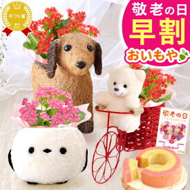 ＼早割！／ 敬老の日 ギフト プレゼント 花 生花 鉢植え 鉢花 カランコエ 3号 動物 犬 いぬ シマエナガ くま かわいい スイーツ お菓子 洋菓子 花とお菓子 60代 70代 80代 90代 おじいちゃん おばあちゃん 孫 孫から 送料無料 おいもや