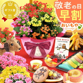 ＼早割！／ 敬老の日 プレゼント ギフト 早割 花 生花 鉢花 鉢植え カランコエ アザレア ベゴニア 匂い桜 動物 犬 5号 3号 どら焼き バウムクーヘン 干し芋 芋けんぴ カステラ ようかん あんみつ かわいい 送料無料 スイーツ お菓子 和菓子 洋菓子 メッセージカード oimoya