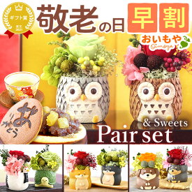 ＼早割！／ 敬老の日 プレゼント ギフト 早割 花 ギフト アレンジメント フラワー プリザーブドフラワー 枯れない花 動物 ふくろう 犬 置物 かわいい おしゃれ 送料無料 スイーツ お菓子 和菓子 メッセージカード おいもや