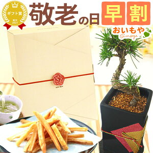 お菓子 鉢 植木 盆栽の人気商品 通販 価格比較 価格 Com