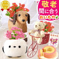 ＼まだ間に合う！300円クーポン／ 敬老の日 ギフト プレゼント まだ間に合う 人気 花 生花 鉢植え 鉢花 …