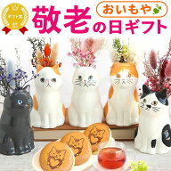 ＼緊急配布★300円クーポン／ 敬老の日 ギフト プレゼント まだ間に合う 人気 花 ねこ 猫好き インテリア…
