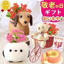 ＼緊急配布★300円クーポン／ 敬老の日 ギフト プレゼント まだ間に合う 人気 花 生花 鉢植え 鉢花 カランコエ 3号 動…