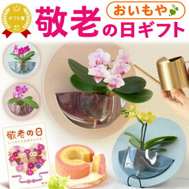 ＼本日23:59まで★ポイント6倍／ 敬老の日 ギフト プレゼント まだ間に合う 人気 花 生花 鉢植え 鉢花 胡蝶蘭 蘭 産地直送 インテリア 雑貨 壁掛け かわいい スイーツ お菓子 洋菓子 花とお菓子 60代 70代 80代 90代 おじいちゃん おばあちゃん 孫 送料無料 おいもや