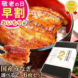 ＼早割！／ 敬老の日 ギフト プレゼント うなぎ 国産 鰻 ウナギ 蒲焼き かばやき 蒲焼 冷凍 贈答用 スイーツ お菓子 和菓子 どら焼き 60代 70代 80代 90代 おじいちゃん おばあちゃん 孫 孫から 送料無料 浜名湖うなぎのたなか おいもや