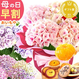 ＼超早割！／ 母の日 プレゼント 早割 花 生花 鉢植え 4号 紫陽花 アジサイ あじさい 10種 鉢花 花鉢 生花 どら焼き どらやき スイートポテト みかんゼリー ギフト 送料無料 スイーツ お菓子 和菓子 洋菓子 珍しい おいもや