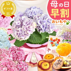 ＼本日18時に値段上がります／ 母の日 プレゼント 早割 2026 花 生花 鉢植え 選べる 10種 アジサイ 紫陽花 あじさい 4号 鉢花 花鉢 生花 どら焼き どらやき スイートポテト サブレ みかんゼリー ギフト 送料無料 スイーツ お菓子 和菓子 洋菓子 ギフトセット おいもや