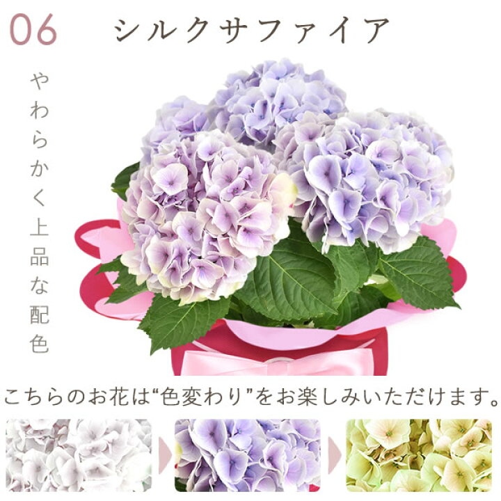 楽天市場】＼緊急！500円クーポン／ 母の日 早割 プレゼント 花 生花 