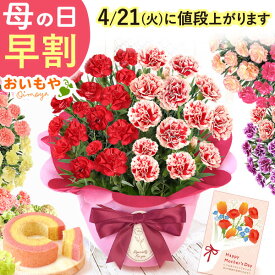 ＼本日P4倍★4/21に値段上がります／ 母の日 プレゼント 早割 2026 花 生花 カーネーション 鉢植え 5号 2色植え 7号 ミックス 寄せ植え 選べる 花鉢 鉢花 バウムクーヘン 希少 可愛い おしゃれ ギフト 送料無料 スイーツ お菓子 洋菓子 おいもや