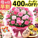 ＼まもなく値段上がります★先着400円クーポン／ 母の日 プレゼント 早割 2026 花 生花 カーネーション 鉢植え 5号 バ…