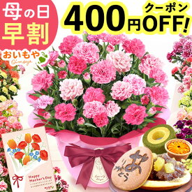 ＼まもなく値段上がります＆400円クーポン／ 母の日 プレゼント 早割 2026 花 生花 カーネーション 鉢植え 5号 バンビーノ 希少 鉢花 お花 ギフト 送料無料 スイーツ お菓子 和菓子 メッセージカード付き 人気 花とスイーツ 楽天ランキング1位 ! おいもや