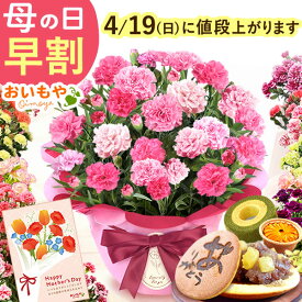 ＼ポイント3倍★今の早割4/18まで／ 母の日 プレゼント 早割 2026 花 生花 カーネーション 鉢植え 5号 バンビーノ 希少 鉢花 お花 ギフト 送料無料 スイーツ お菓子 和菓子 メッセージカード付き 人気 花とスイーツ 楽天ランキング1位 ! おいもや