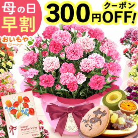 ＼先着300円クーポン★4/24に値段上がります／ 母の日 プレゼント 早割 2026 花 生花 カーネーション 鉢植え 5号 バンビーノ 希少 鉢花 お花 ギフト 送料無料 スイーツ お菓子 和菓子 メッセージカード付き 人気 花とスイーツ 楽天ランキング1位 ! おいもや