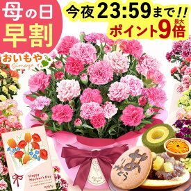 ＼今の早割★今夜23：59迄！ポイント最大9倍／ 母の日 プレゼント 早割 2026 花 生花 カーネーション 鉢植え 5号 バンビーノ 希少 鉢花 お花 ギフト 送料無料 スイーツ お菓子 和菓子 メッセージカード付き 人気 花とスイーツ 楽天ランキング1位 ! おいもや