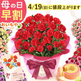 ＼ポイント2倍★今の早割4/18まで／ 母の日 プレゼント 早割 カーネーション 2026 花 生花 ギフト 鉢植え 希少 5号サイズ 4号 バウムクーヘン メッセージカード付き ラッピング 人気 かわいい 送料無料 スイーツ お菓子 洋菓子 ギフトセット おいもや
